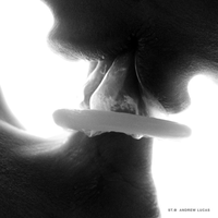 Moro reflex_28-BHbEUR0903NOOTjyyHgA6rl6xXapmmWa.jpg